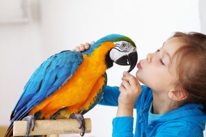 exotic pet insurance